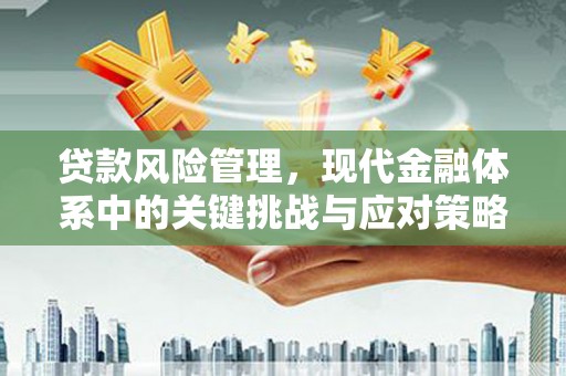 昆明贷款风险管理，现代金融体系中的关键挑战与应对策略