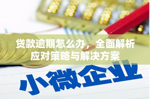 昆明贷款逾期怎么办，全面解析应对策略与解决方案