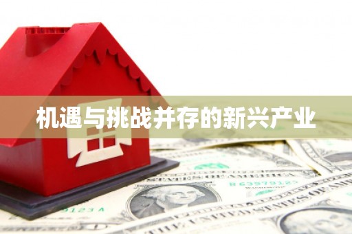 昆明机遇与挑战并存的新兴产业