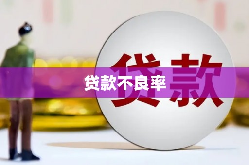昆明贷款不良率