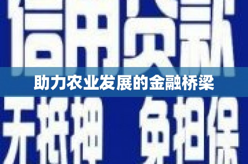 昆明助力农业发展的金融桥梁