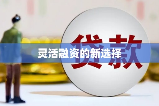 昆明灵活融资的新选择