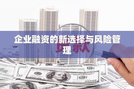 昆明企业融资的新选择与风险管理