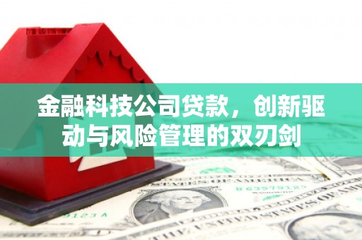 昆明金融科技公司贷款，创新驱动与风险管理的双刃剑